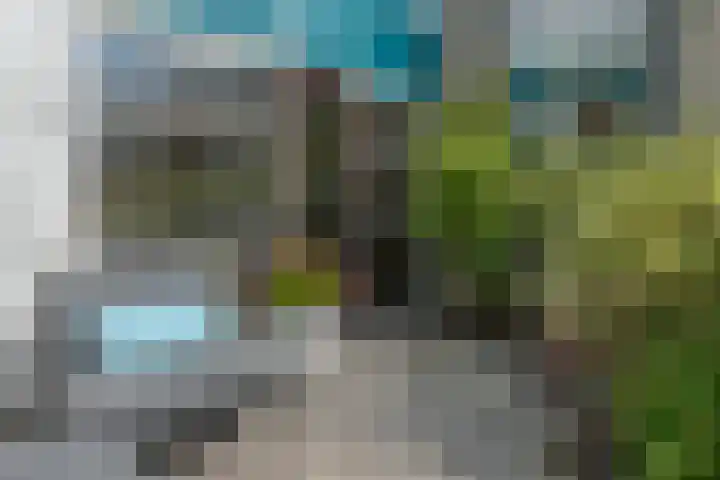 Op Koers 13 Almere thumbnail 42