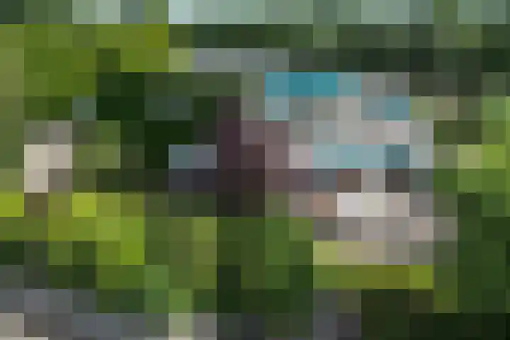 Op Koers 13 Almere thumbnail 5