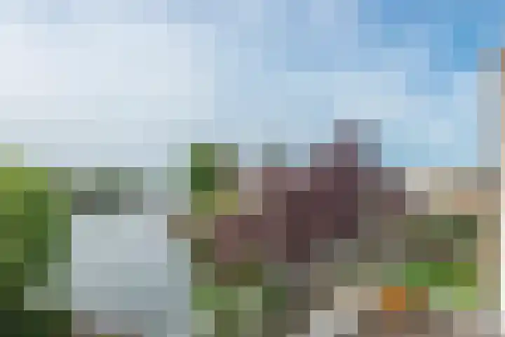 Op Koers 13 Almere thumbnail 58