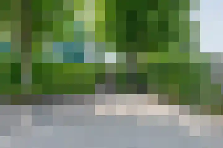 Op Koers 13 Almere thumbnail 6