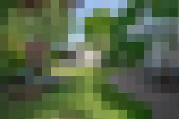 Op Koers 13 Almere thumbnail 73