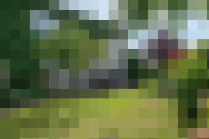 Op Koers 13 Almere thumbnail 75