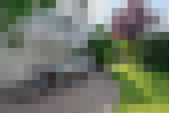 Op Koers 13 Almere thumbnail 77