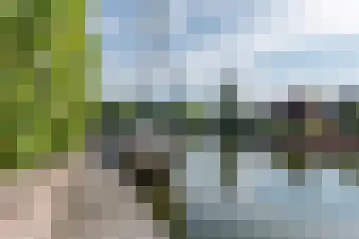 Op Koers 13 Almere thumbnail 82
