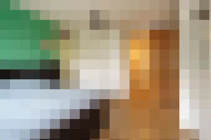 Op Koers 33 Almere thumbnail 14