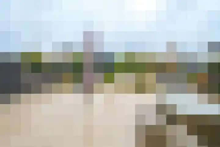 Op Koers 33 Almere thumbnail 27