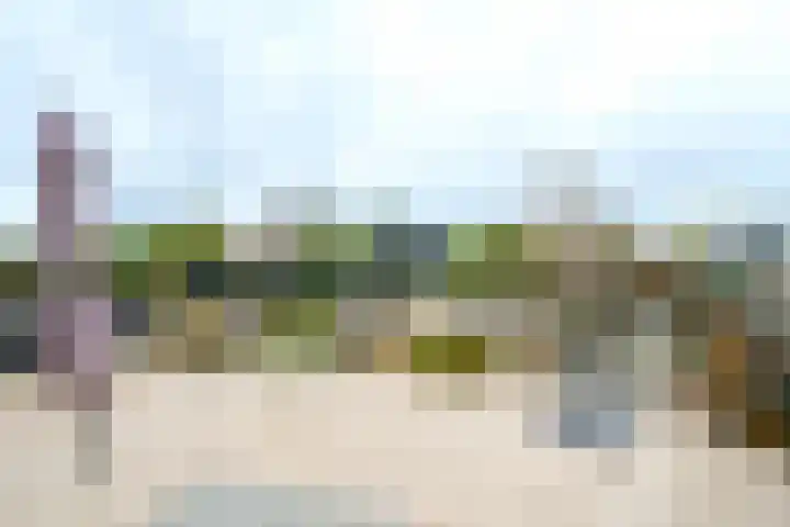 Op Koers 33 Almere thumbnail 28