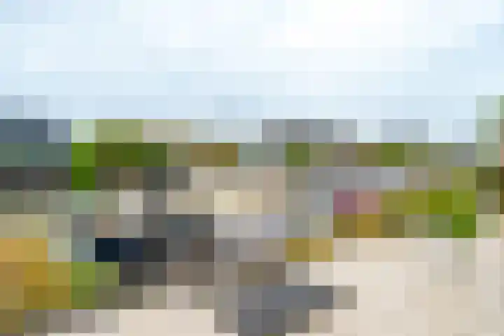 Op Koers 33 Almere thumbnail 29