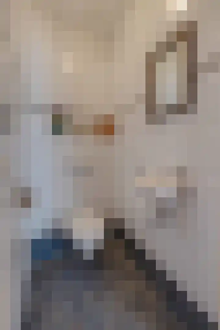 Op Koye 27 Susteren thumbnail 18