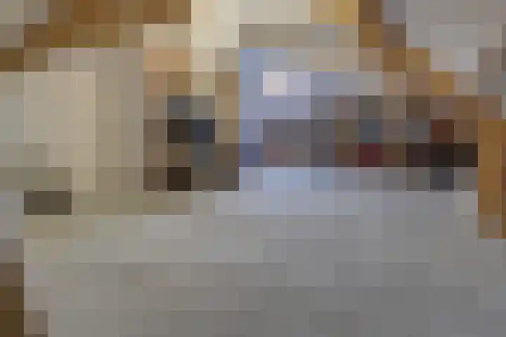 Op Koye 27 Susteren thumbnail 33