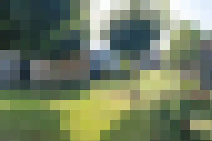 Op Koye 27 Susteren thumbnail 39