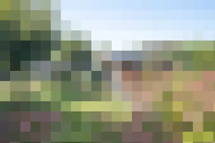 Op Koye 27 Susteren thumbnail 42