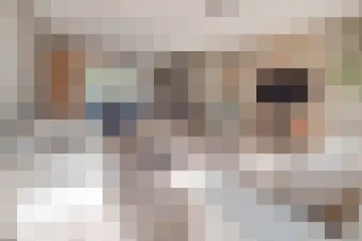 Op Koye 27 Susteren thumbnail 7
