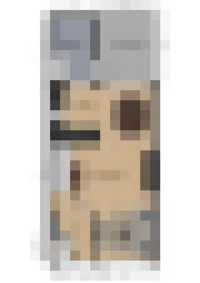 Op Koye 28 Susteren thumbnail 18