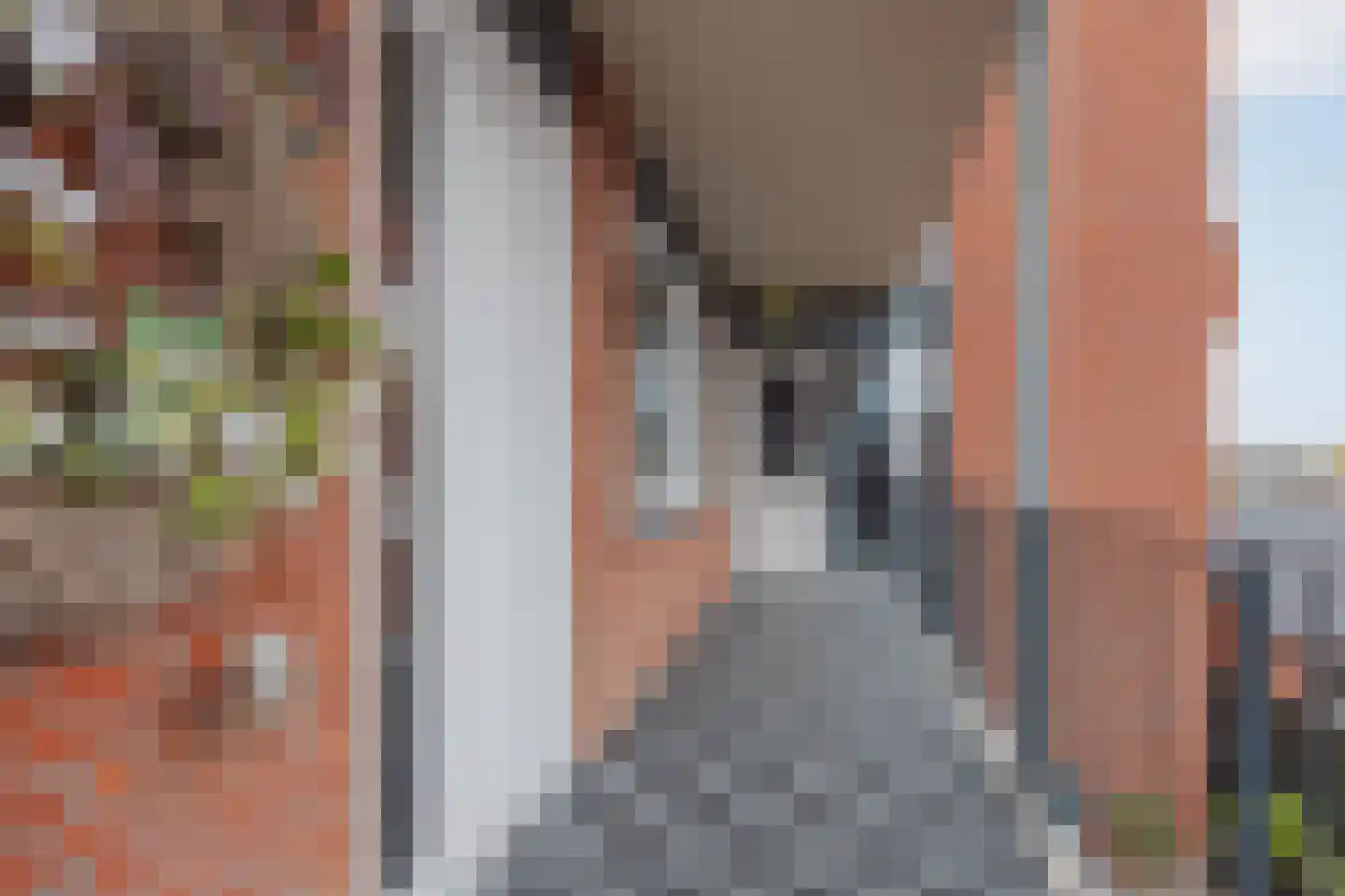 Op Santfort 9 Grubbenvorst thumbnail 14