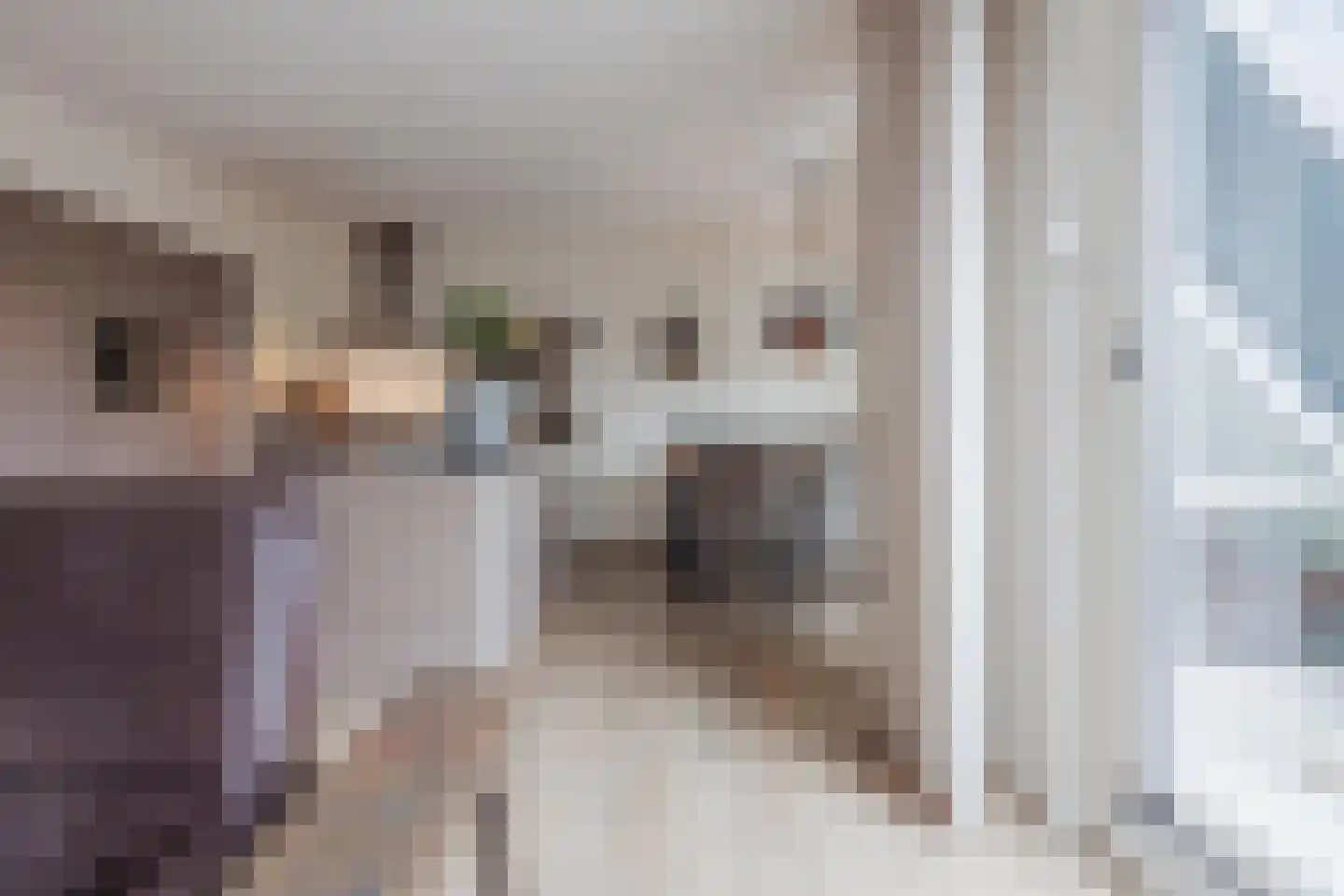 Op Santfort 9 Grubbenvorst thumbnail 19