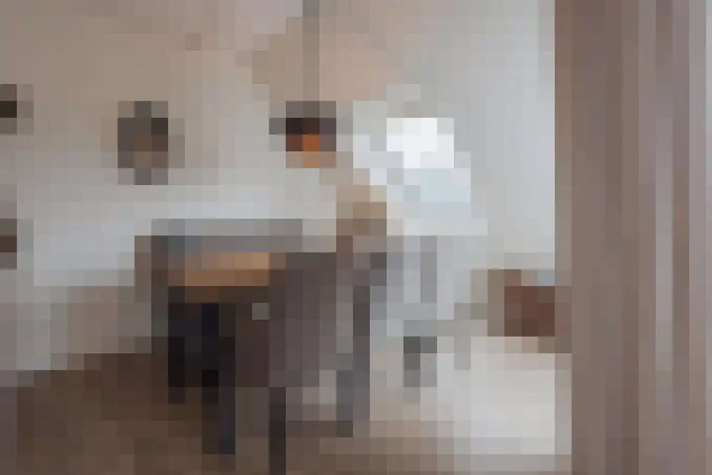 Op Santfort 9 Grubbenvorst thumbnail 20