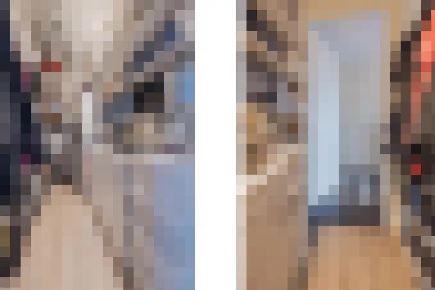 Op Santfort 9 Grubbenvorst thumbnail 26