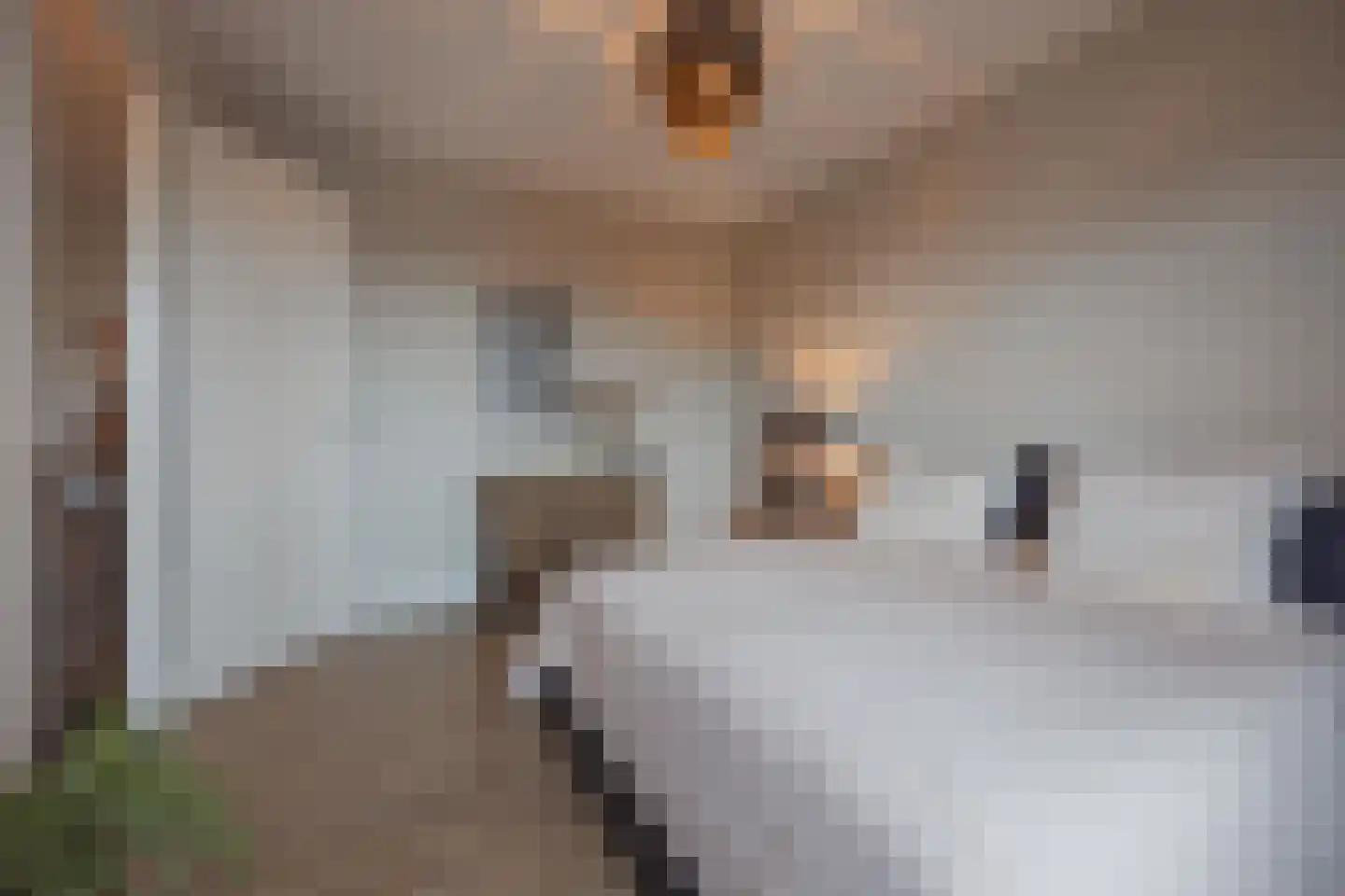 Op Santfort 9 Grubbenvorst thumbnail 28