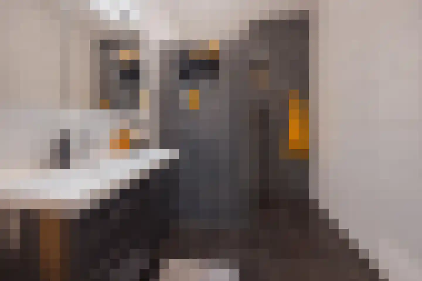Op Santfort 9 Grubbenvorst thumbnail 32