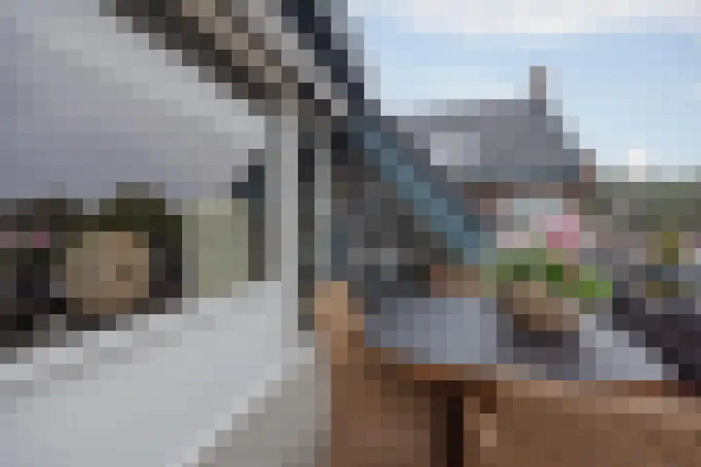 Op Santfort 9 Grubbenvorst thumbnail 34