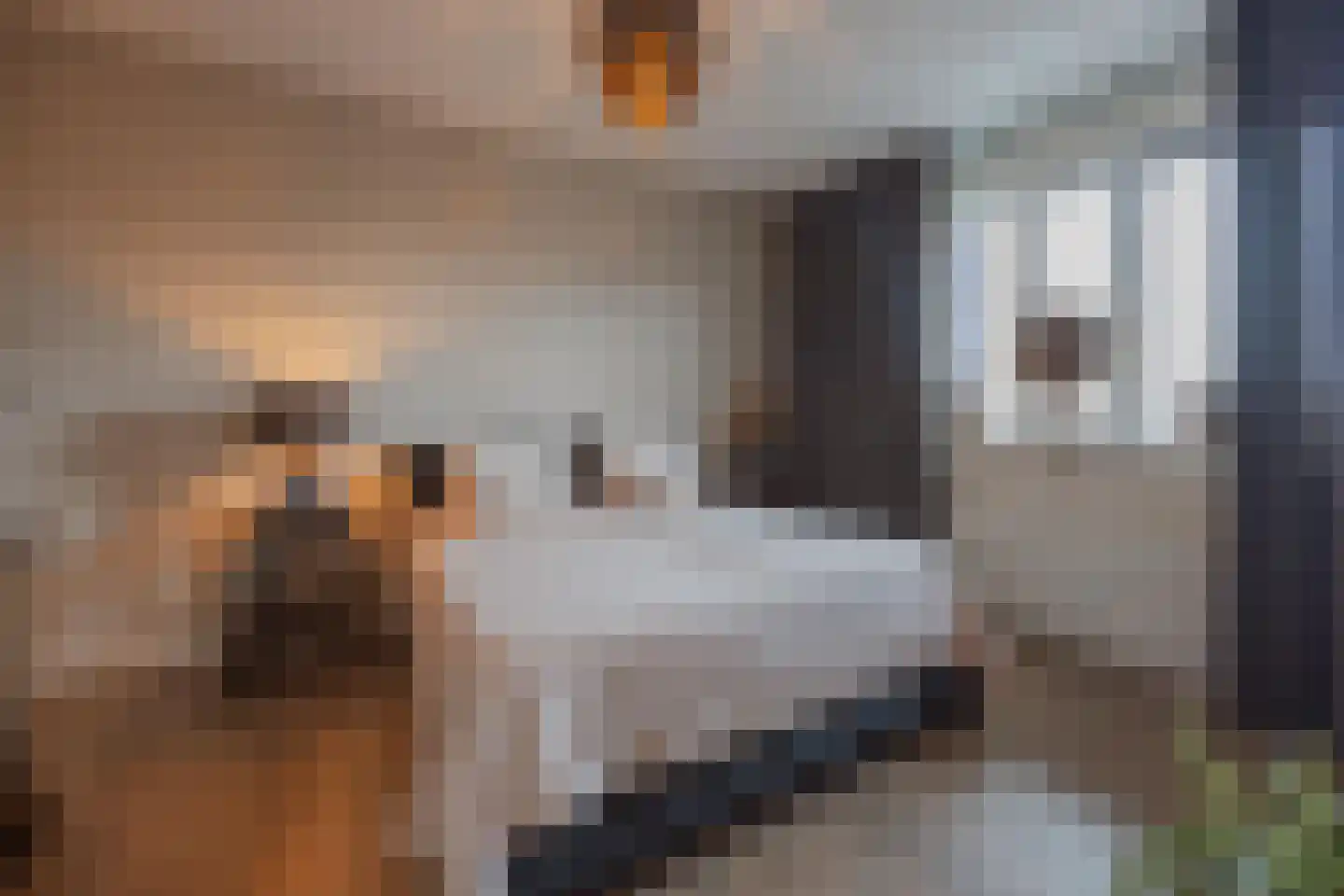 Op Santfort 9 Grubbenvorst thumbnail 6