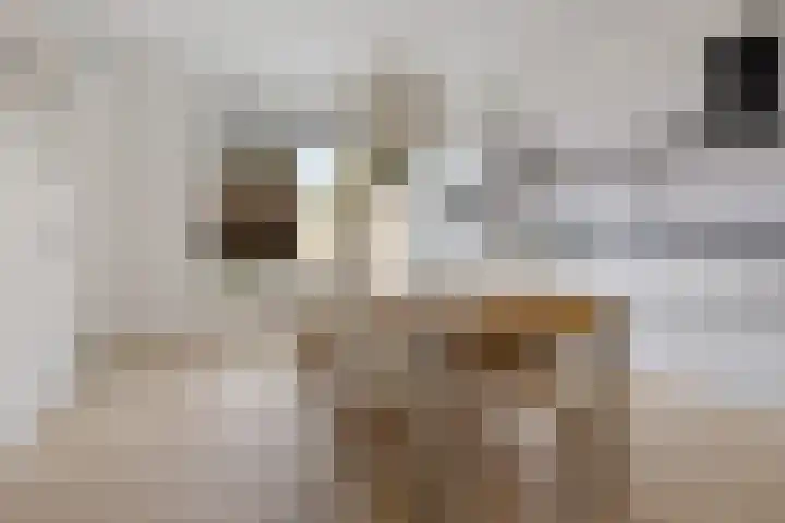 Op Stee 20 Assen thumbnail 14