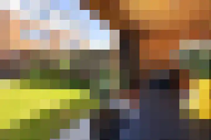 Op Stee 20 Assen thumbnail 27