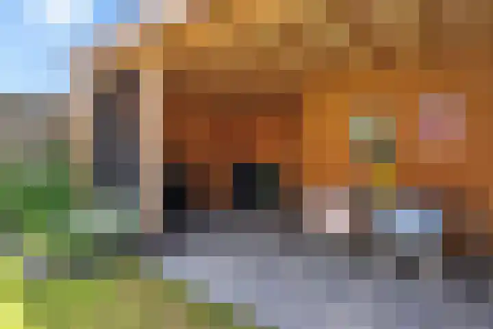 Op Stee 20 Assen thumbnail 28