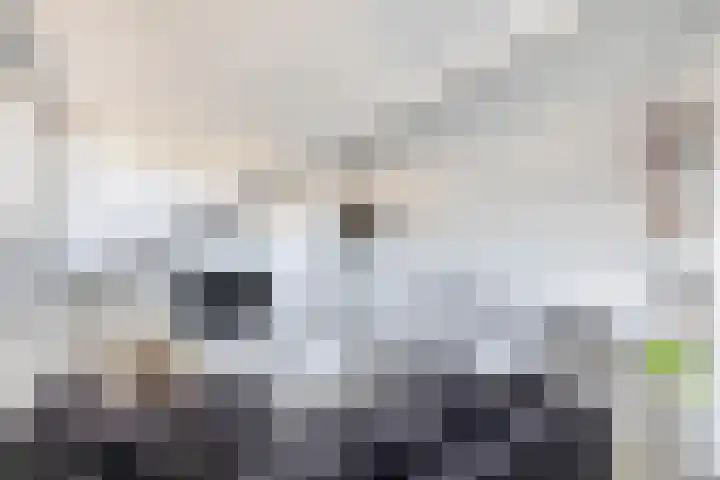 op 't Aardbroek 29 Velden thumbnail 18