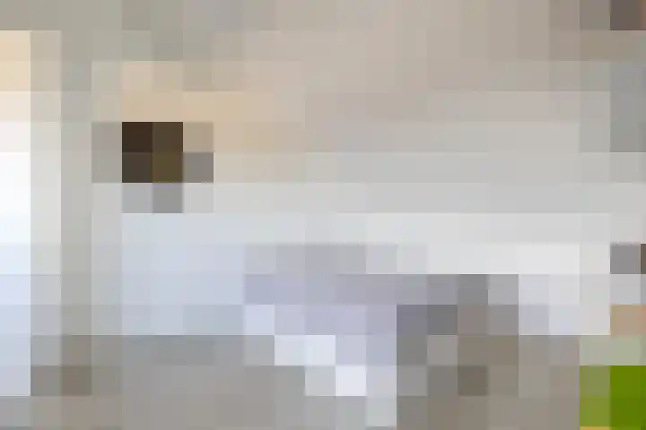 op 't Aardbroek 29 Velden thumbnail 20