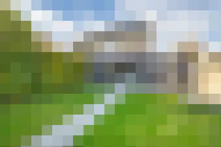 op 't Aardbroek 29 Velden thumbnail 22