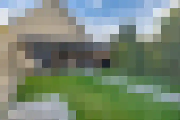 op 't Aardbroek 29 Velden thumbnail 23