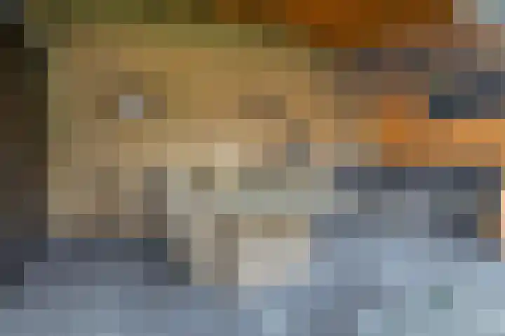 op 't Aardbroek 29 Velden thumbnail 24