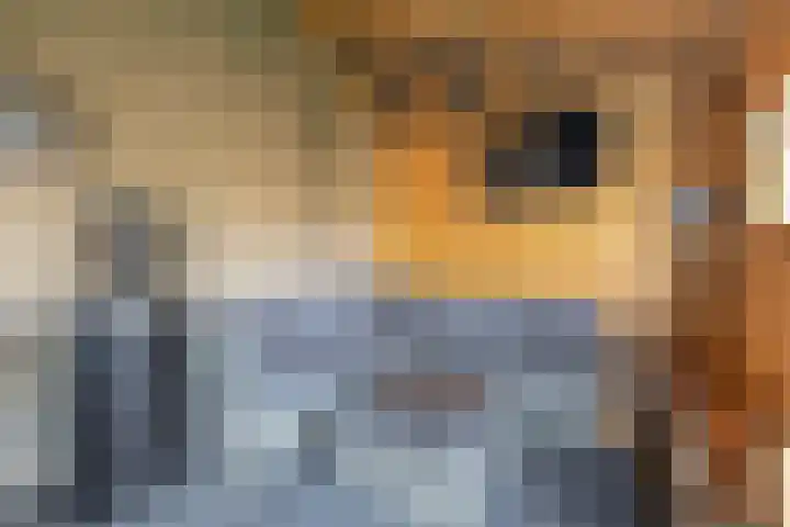 op 't Aardbroek 29 Velden thumbnail 25