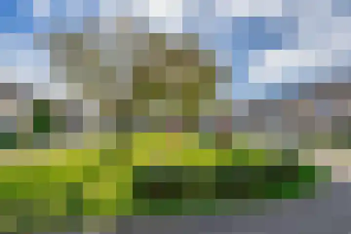 op 't Aardbroek 29 Velden thumbnail 28