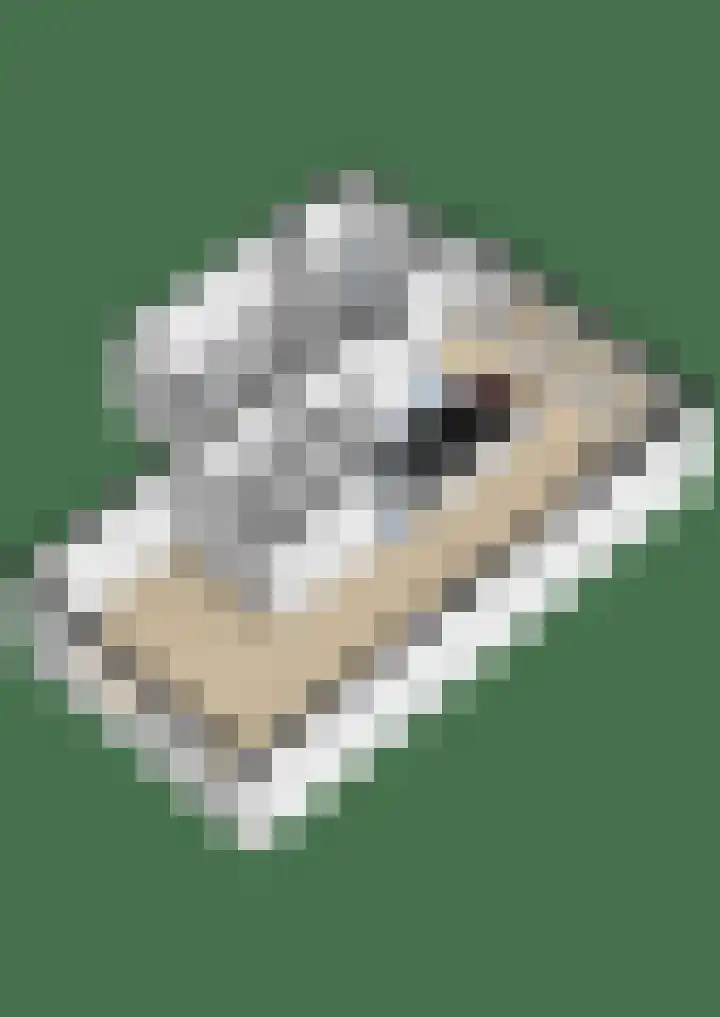 op 't Aardbroek 29 Velden thumbnail 30