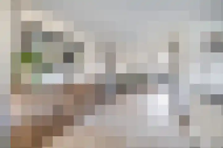 op 't Aardbroek 29 Velden thumbnail 5