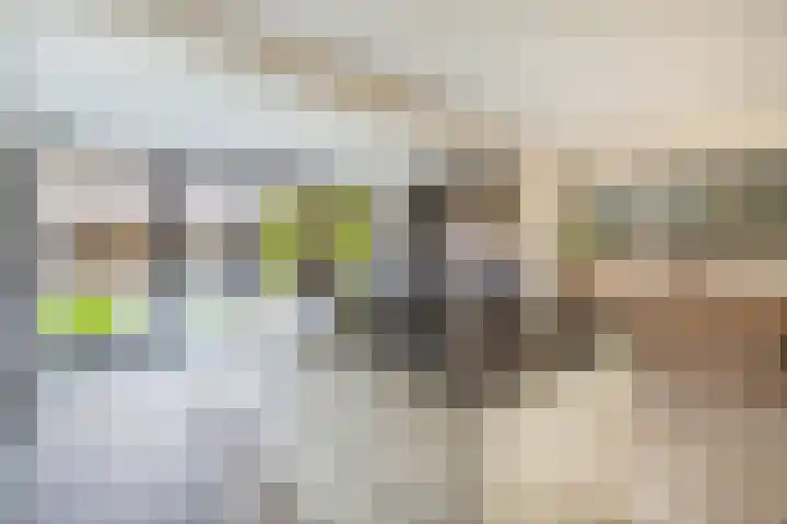 op 't Aardbroek 29 Velden thumbnail 8