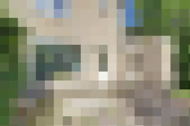 op 't Aardbroek 33 Velden thumbnail 18