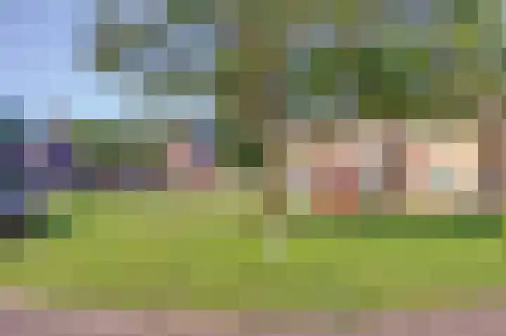 op 't Aardbroek 33 Velden thumbnail 20