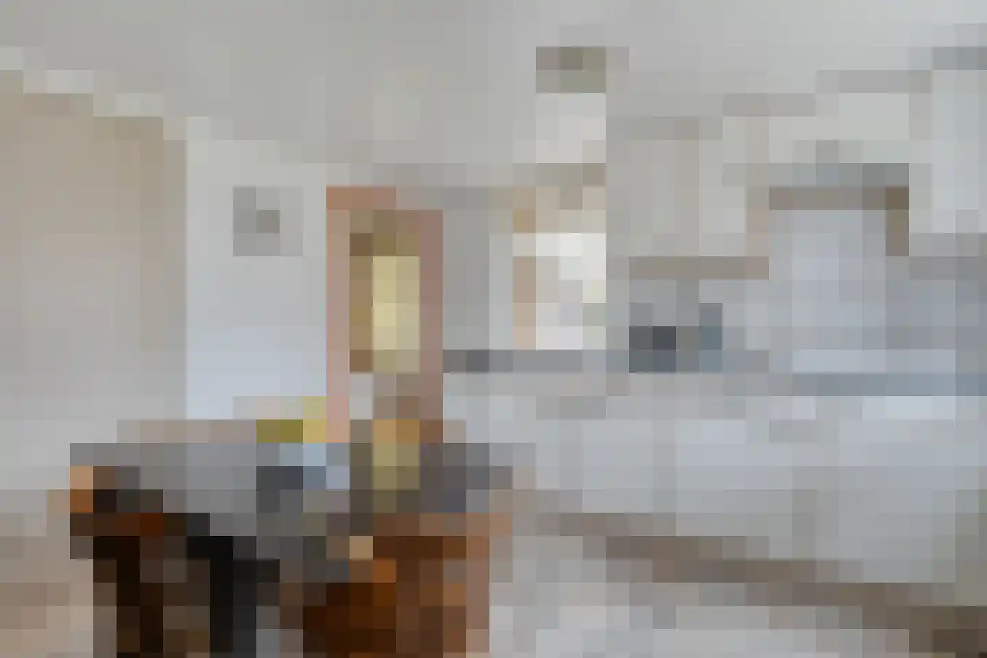 Op 't Holt 6 Dalfsen thumbnail 12