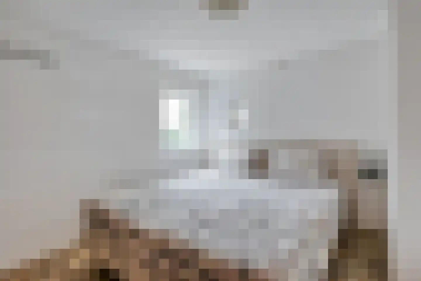 Op 't Holt 6 Dalfsen thumbnail 15