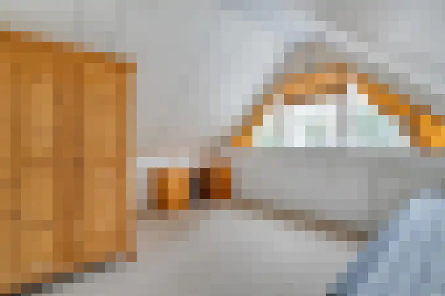 Op 't Holt 6 Dalfsen thumbnail 22