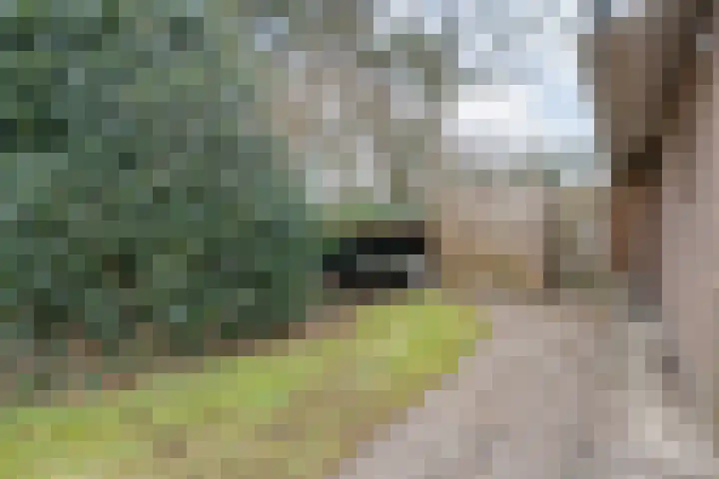 Op 't Holt 6 Dalfsen thumbnail 26