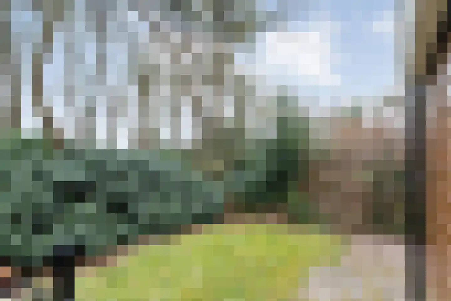 Op 't Holt 6 Dalfsen thumbnail 27