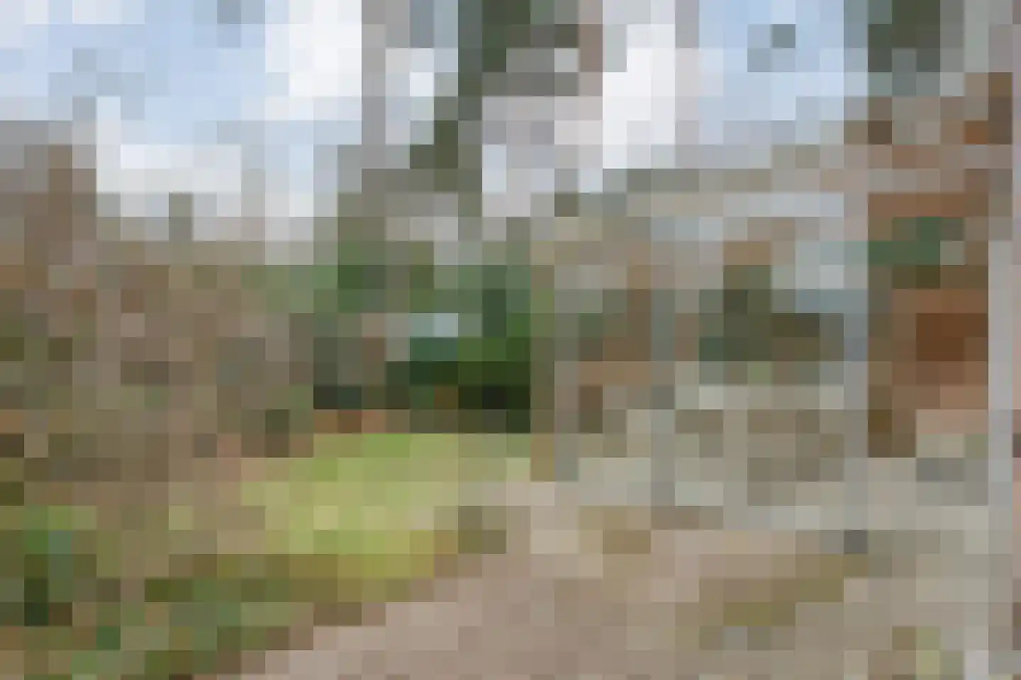 Op 't Holt 6 Dalfsen thumbnail 29