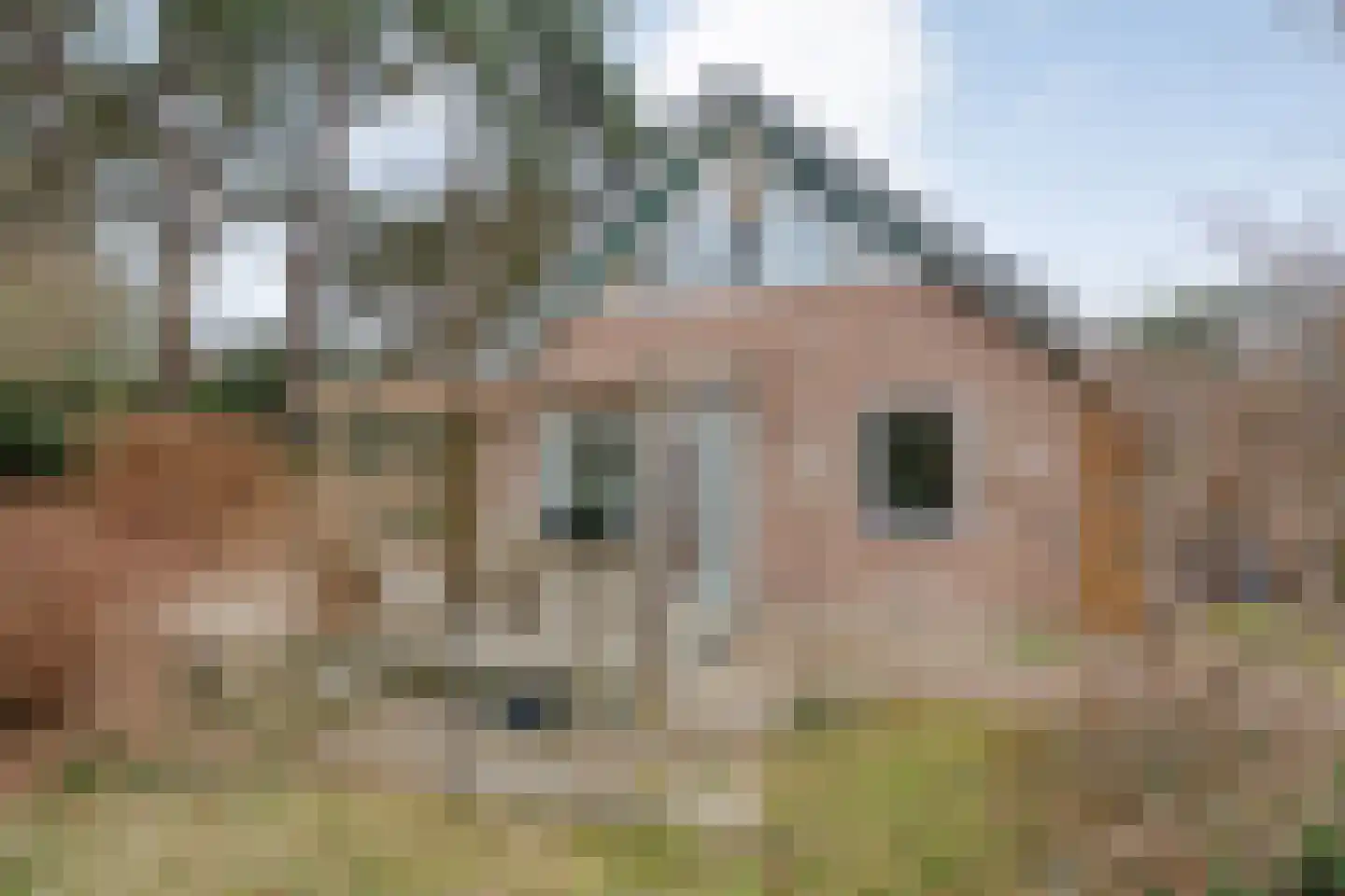 Op 't Holt 6 Dalfsen foto 3