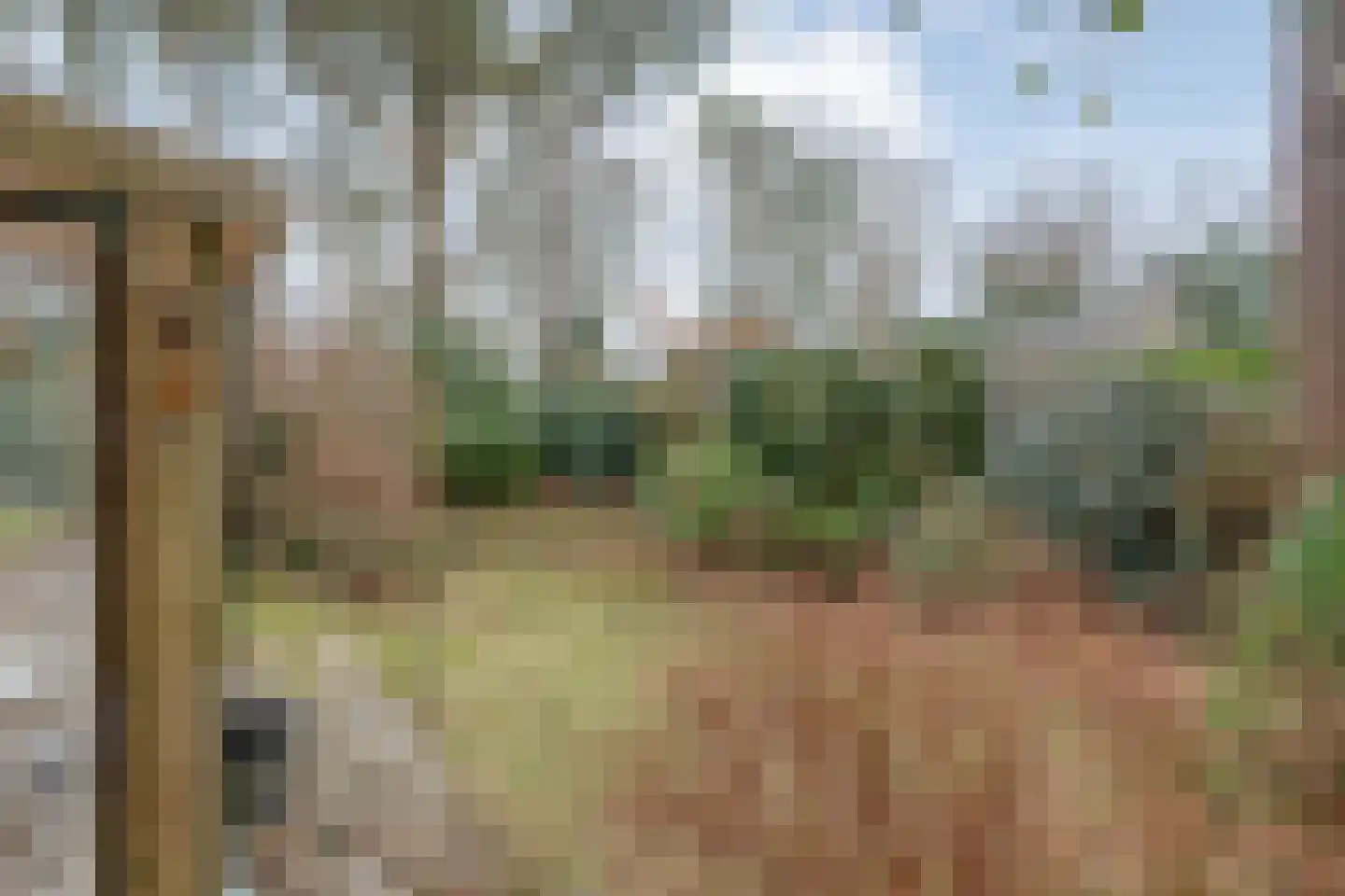 Op 't Holt 6 Dalfsen thumbnail 30