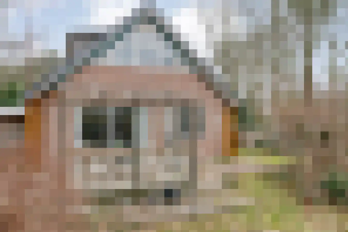 Op 't Holt 6 Dalfsen thumbnail 31